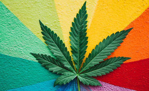 A Cannabis leaf overtop a rainbow colored prism