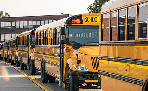 School buses lined up on a sunny day