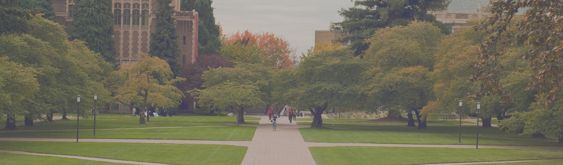 Higher Education