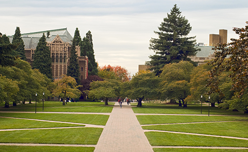Quandrangle lawn at the University of Washington