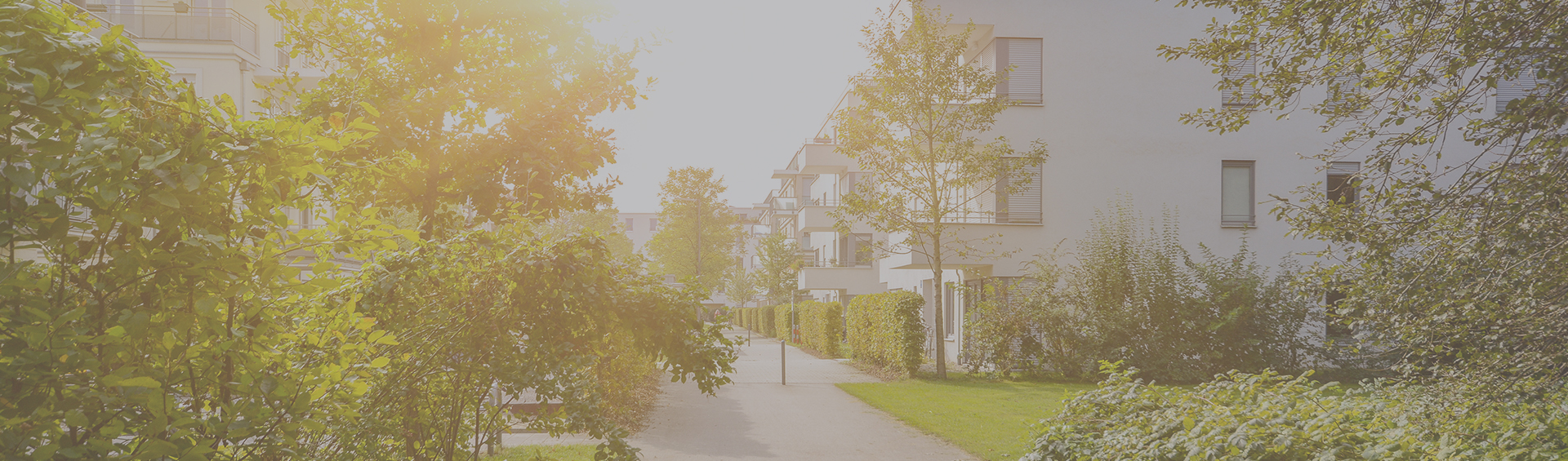 Zoning, Land Use + Development