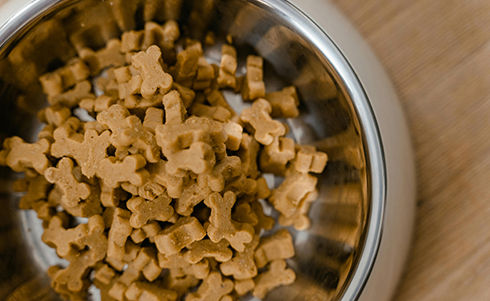 A dog bowl full of treats shaped like dog bones