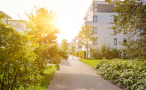 Image of a walkway in a wooded modern residential area on a sunny day