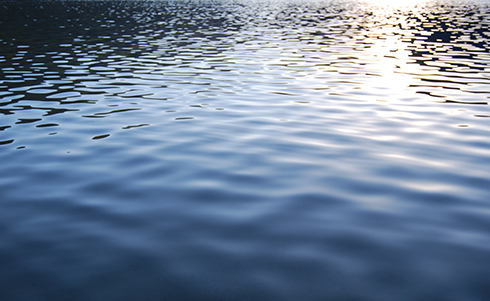 Ripples in a body of water with the sun's reflection