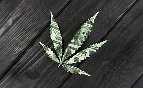 Marijuana Leaf image colored in with a hundred dollar bill